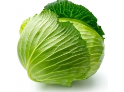 椰菜配送